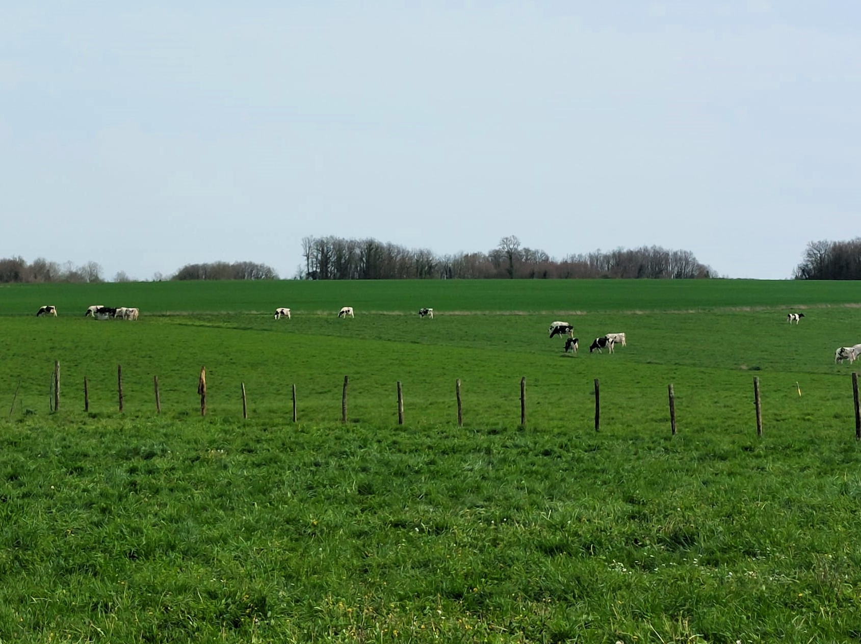 IMG-20241031-WA0009_zz